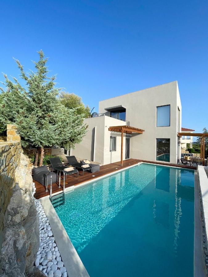 Dimeli - Sea View Villas In Foinikounta フィニクーダ エクステリア 写真